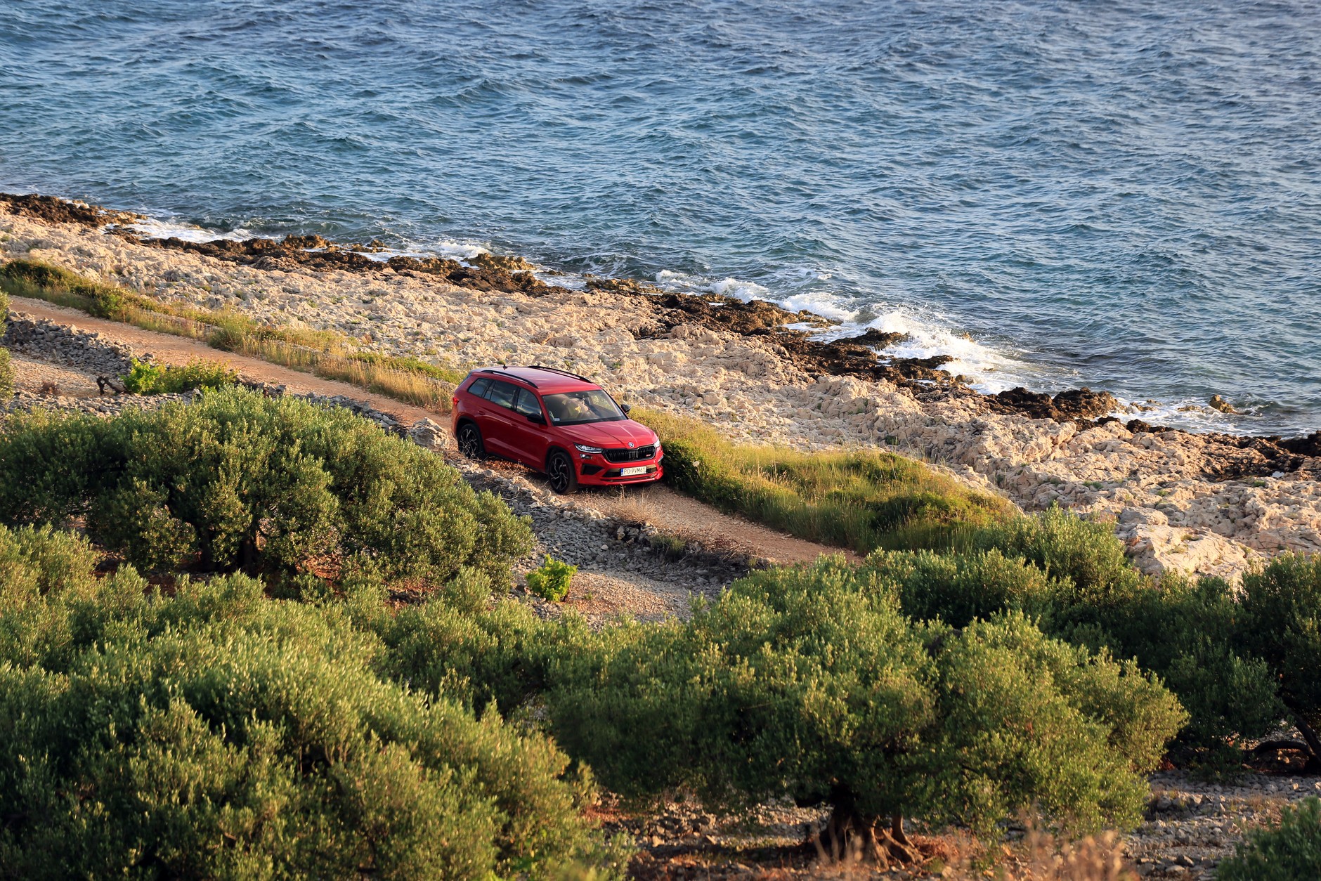 Skoda Kodiaq RS