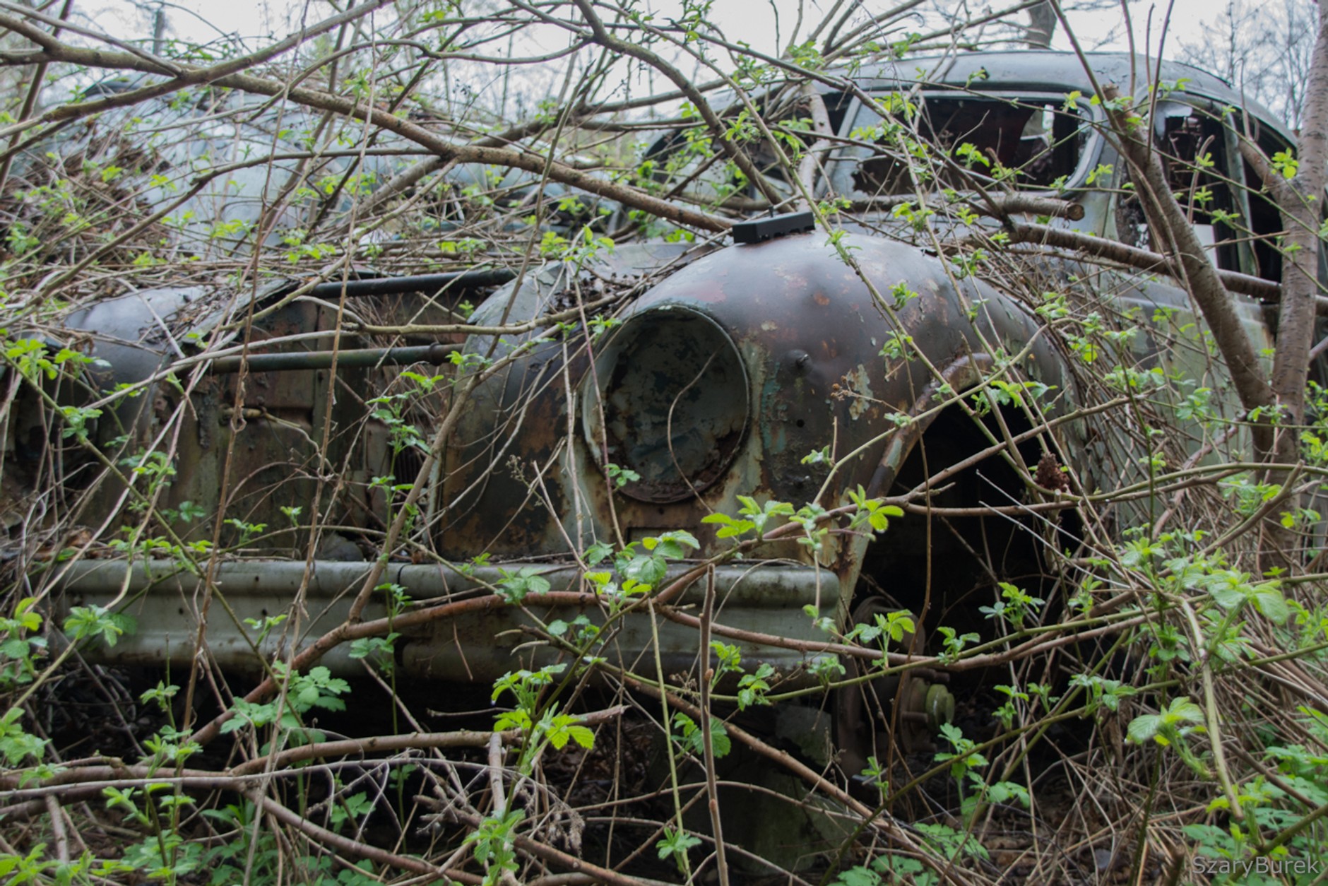 Zapomniana i rozkradziona kolekcja  Tadeusza Tabenckiego