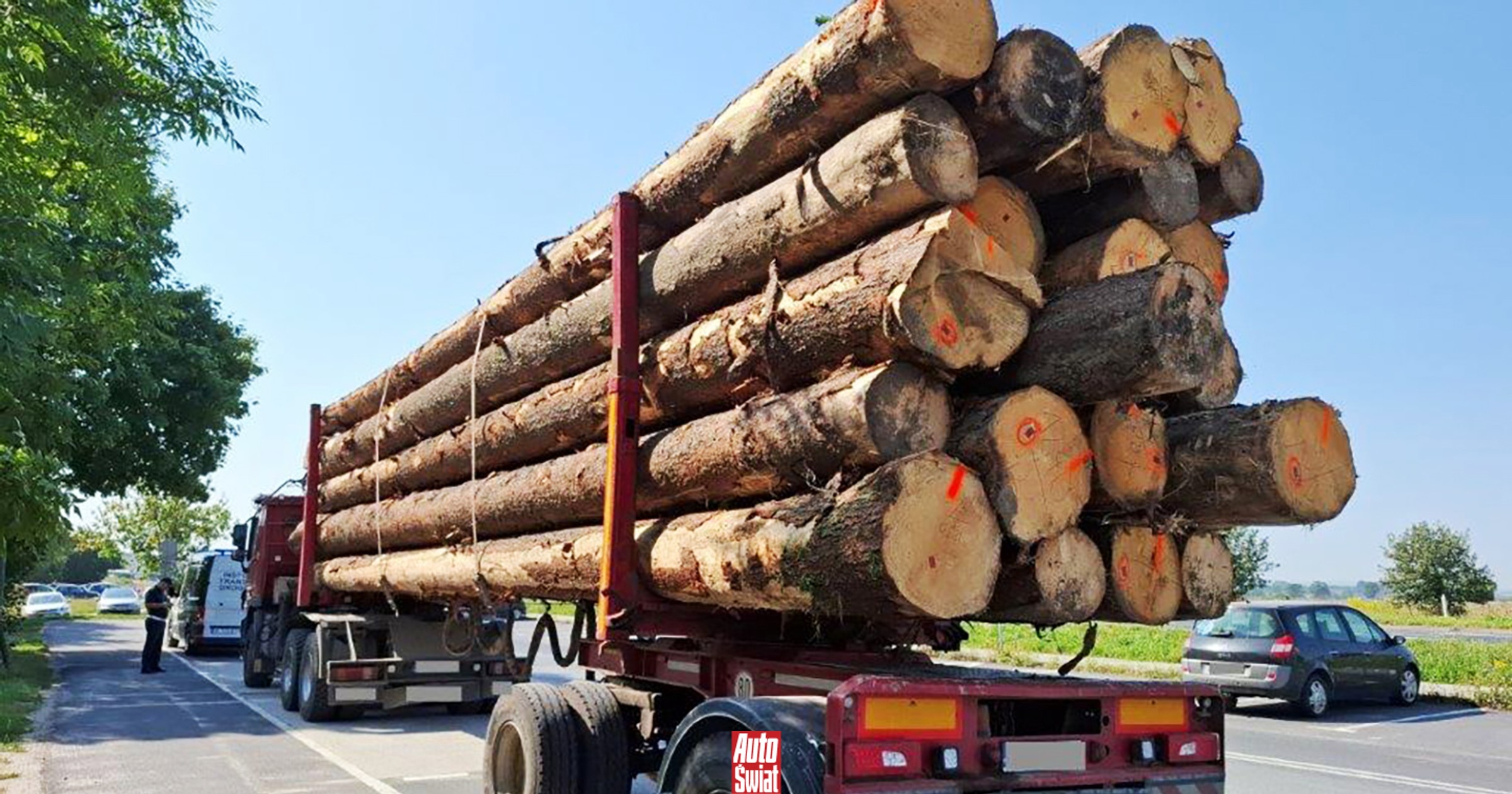 To mógł być transport jak z "Oszukać przeznaczenie". Inspektorzy ITD zatrzymali drewno