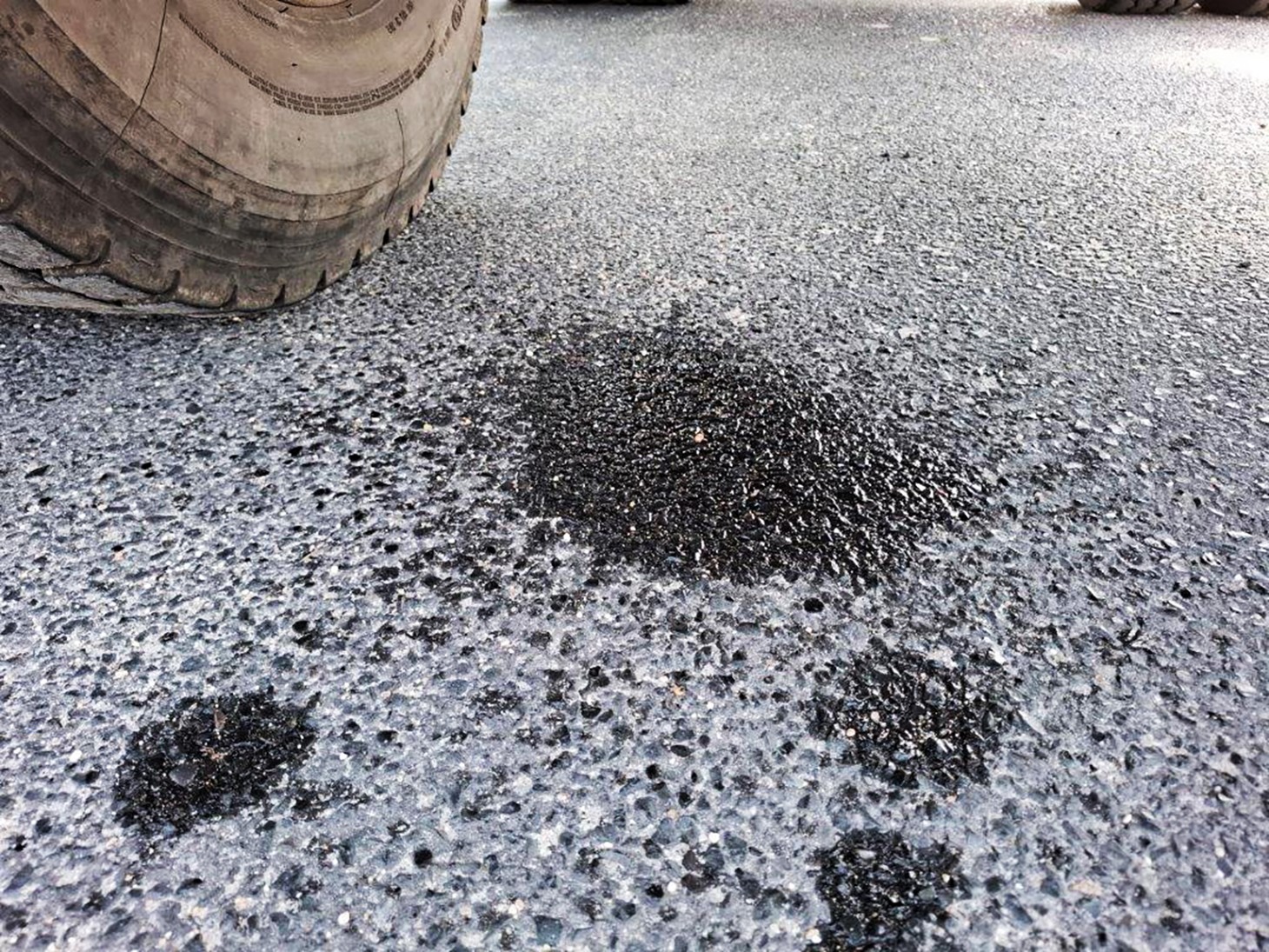 Poważne naruszenia w transporcie drewna