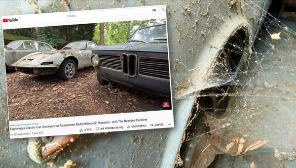 "Nie sprzedam, będę robił". Ponad 100 klasyków wrasta na opuszczonej działce [WIDEO]