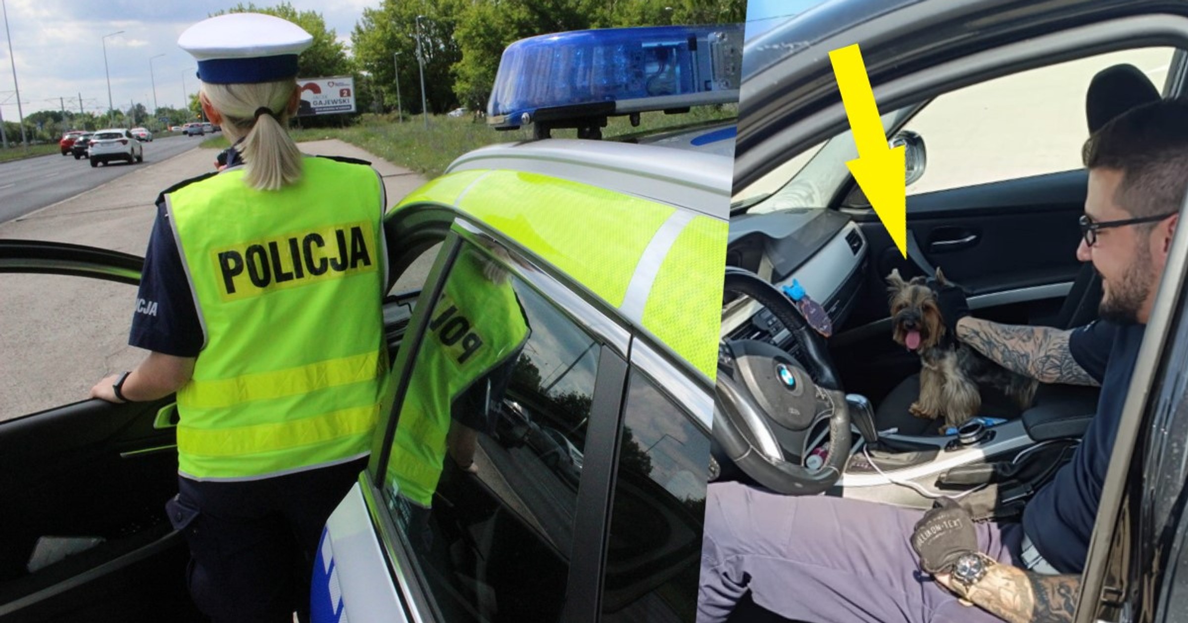 Policjanci uwolnili małego psa z nagrzanego BMW