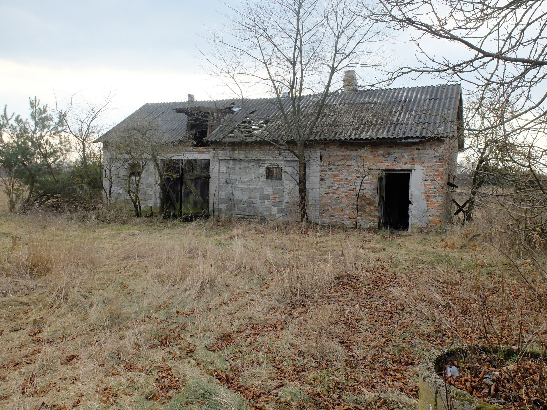 Zobacz, co zostaje z samochodów, które wpadły w ręce przestępców. Szokujące zdjęcia z lasów powiatu wołomińskiego!