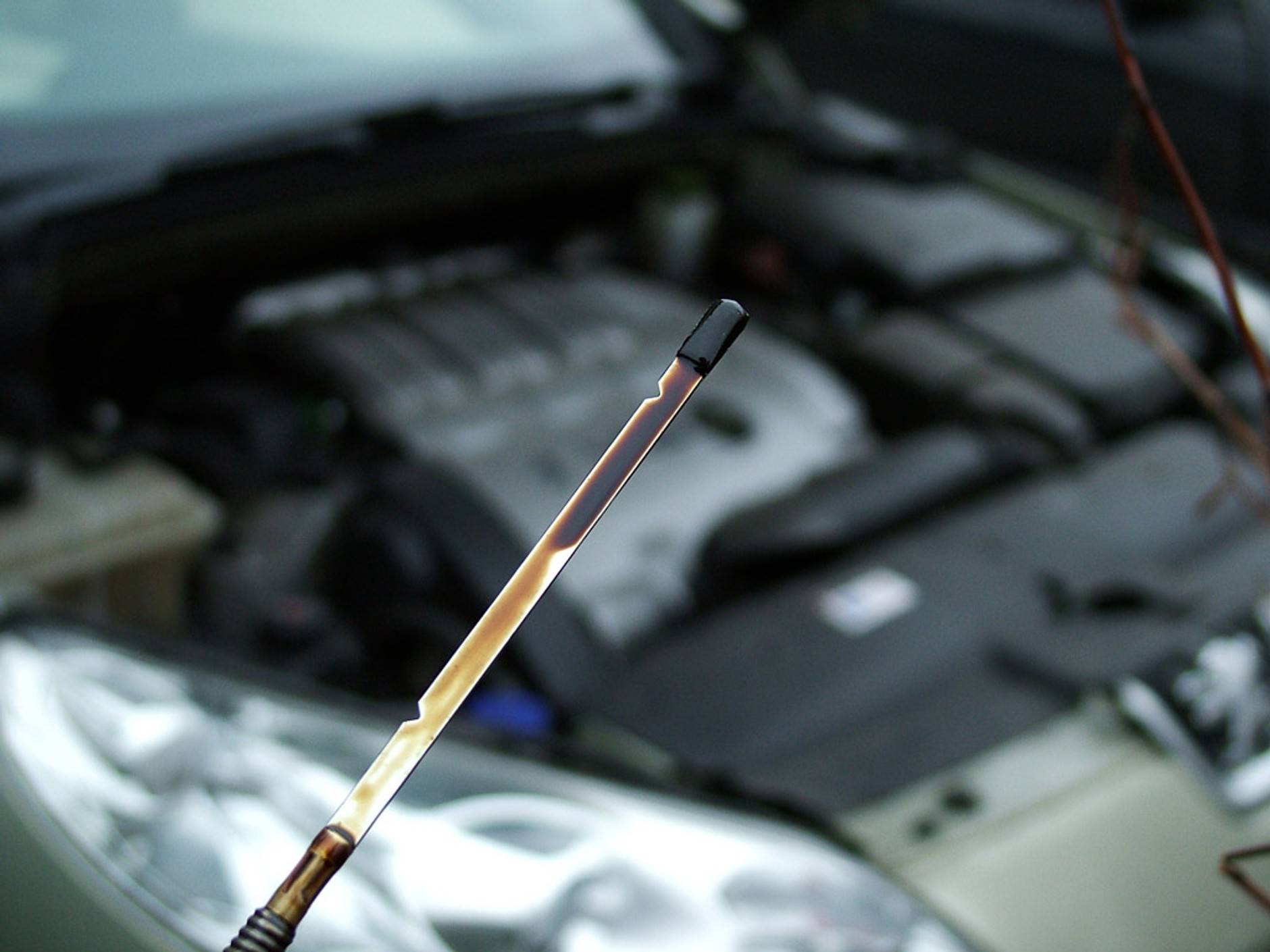 Dlaczego przybywa oleju?