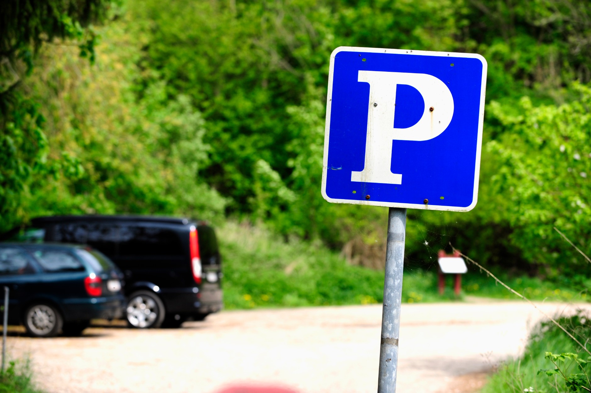 Parking leśny