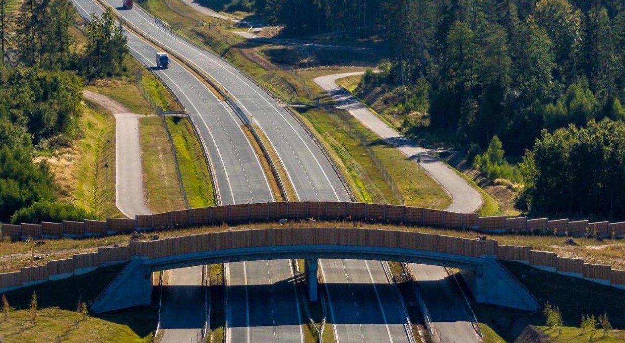 Tajemnicze konstrukcje nad polskimi drogami. Na S61 nie korzystają z nich kierowcy