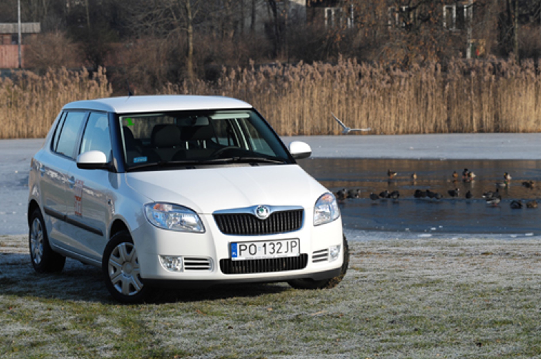 Skoda Fabia Greenline: Czysto, czyściej, Greenline