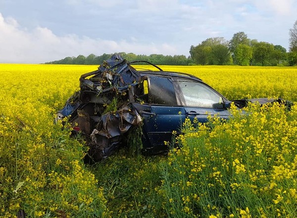 BMW dachowało w rzepaku. Kierowca nie przeżył