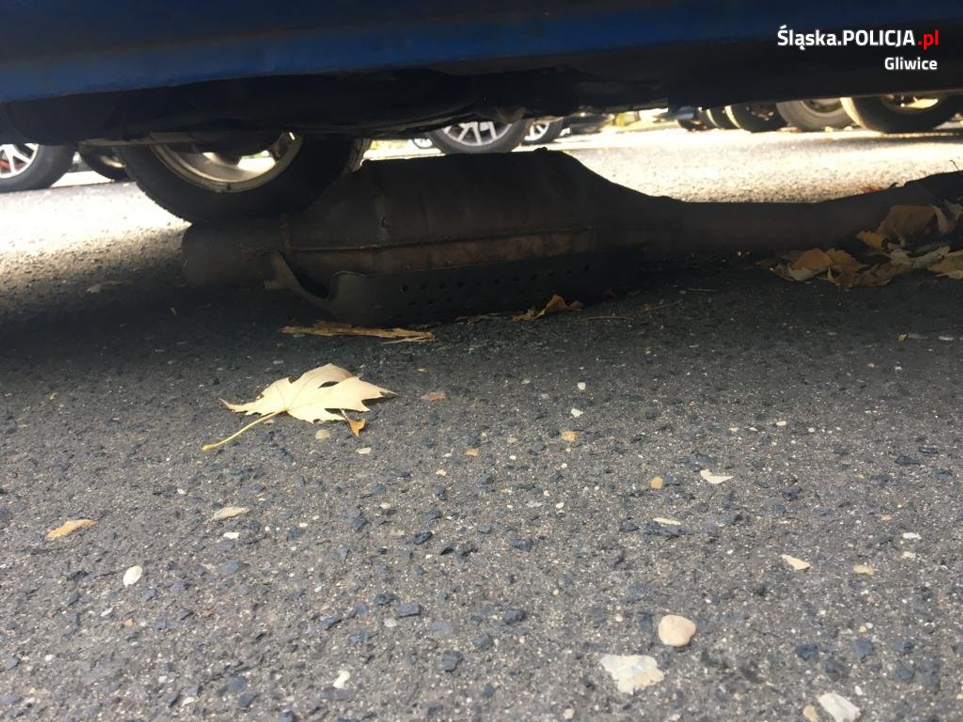 Zdjęcia do sprawy udostępnione przez policjantów