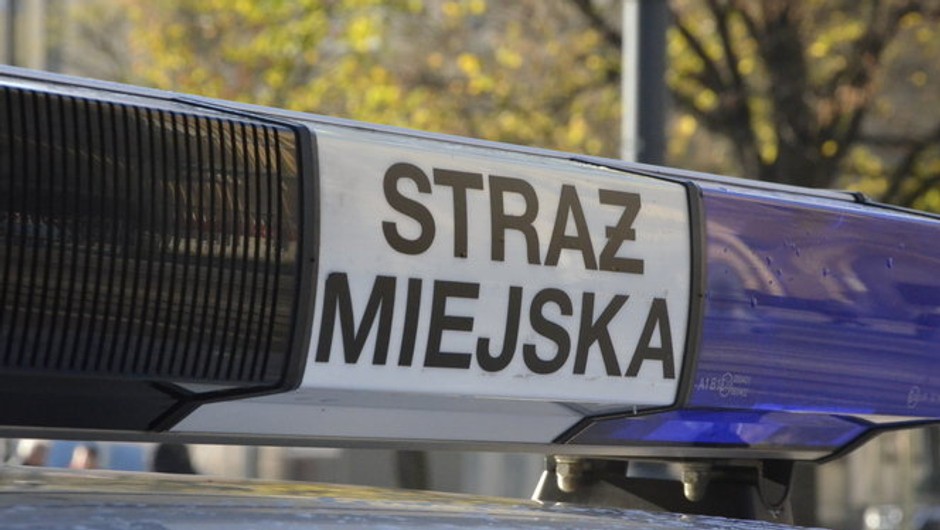 Straż Miejska (zdjęcie ilustracyjne)