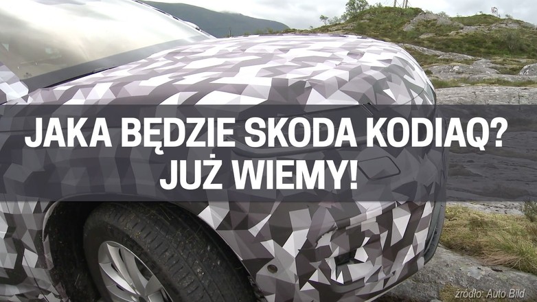 kodiak zajawka wideo