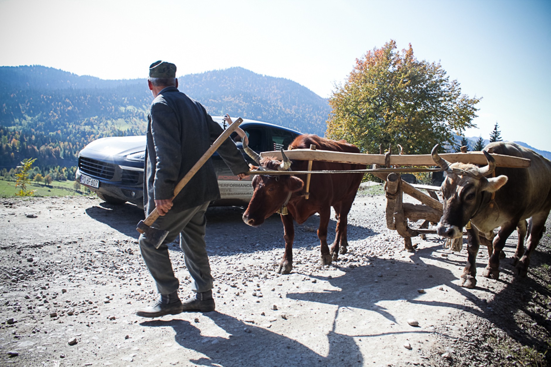 Porsche Cayenne. Luksusowy król bezdroży