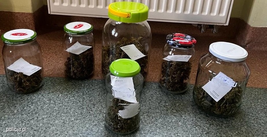 Wyłudzali odszkodowania i sprzedawali auta ze zmienionym VIN-em