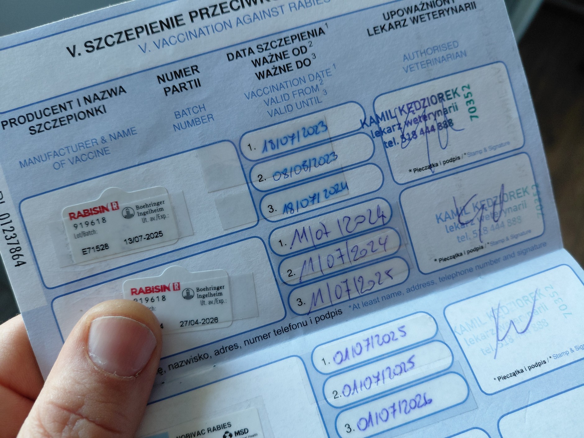 Najważniejszy wpis w paszporcie psa: aktualne szczepienie na wściekliznę. Spóźnienie choćby o jeden dzień powoduje, że ważność&nbsp;szczepienia zostanie wznowiona po upływie 21 dni. 