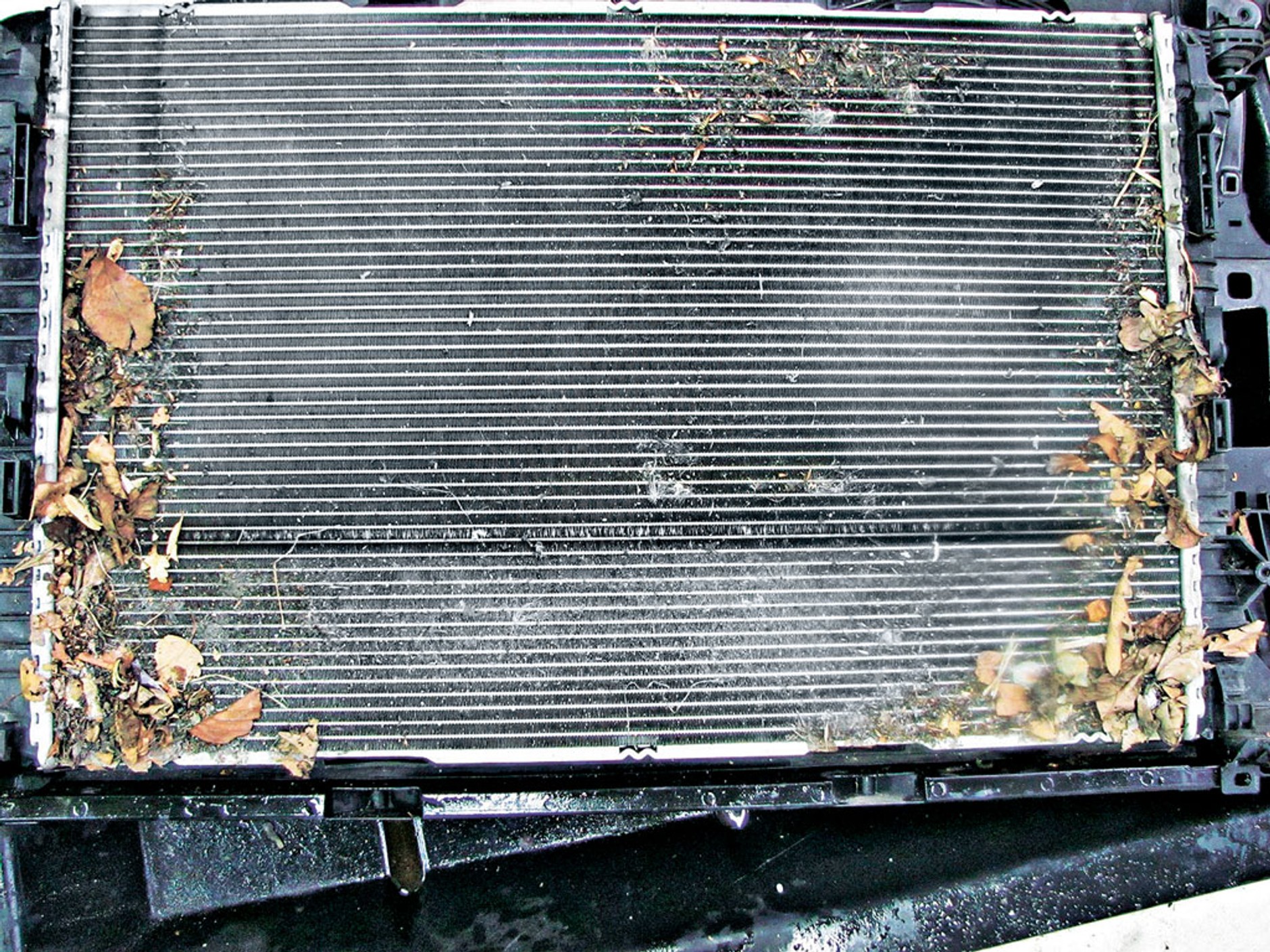 Gdyby nie ta skrzynia... - Test długodystansowy Audi A4 2.0 TDI Multitronic