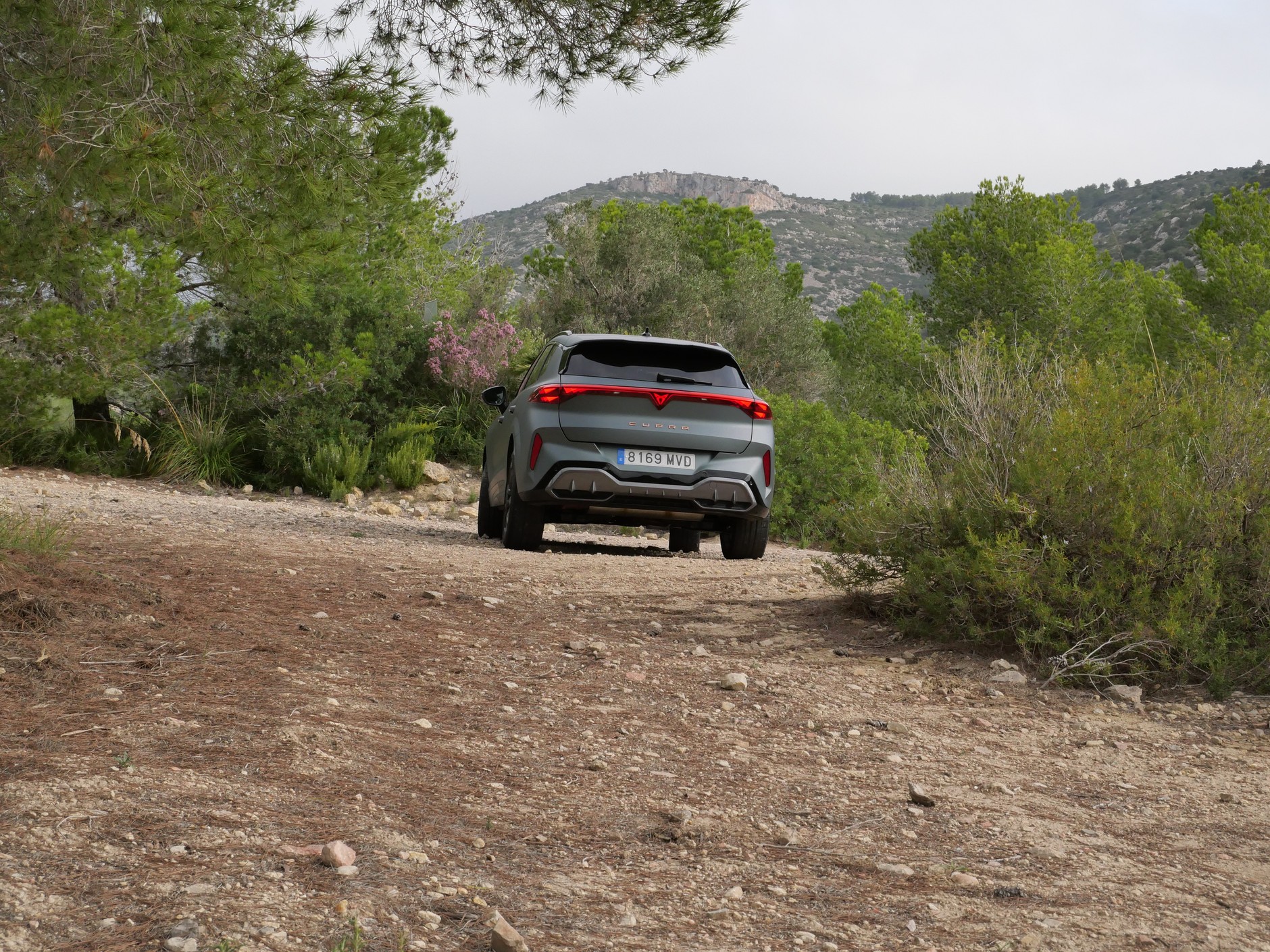 Cupra Terramar w wersji limitowanej America's Cup