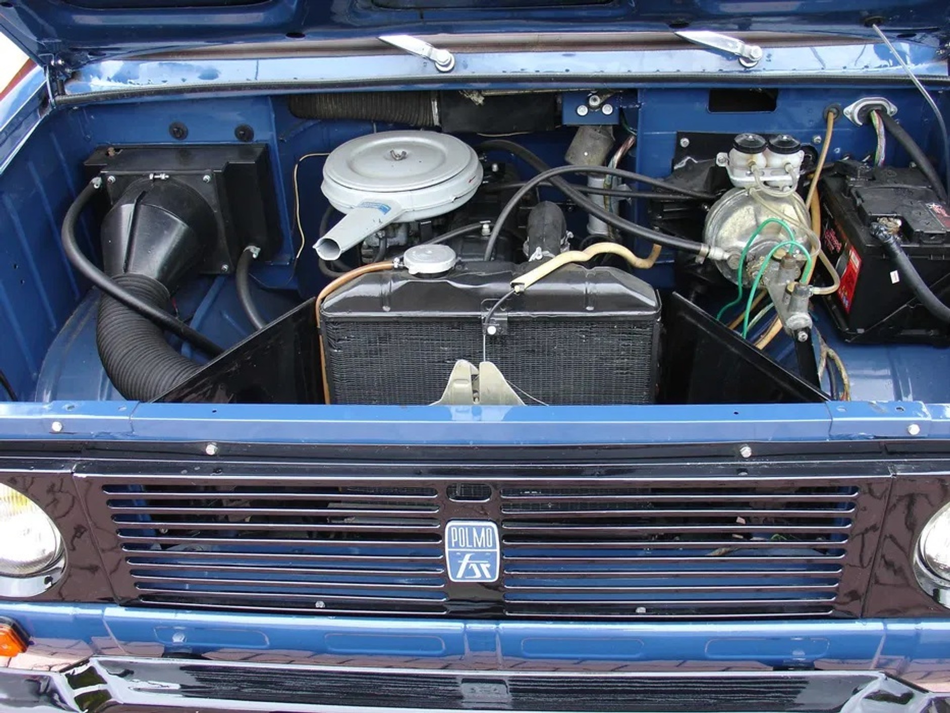 Tarpan z ogłoszenia na OLX-ie