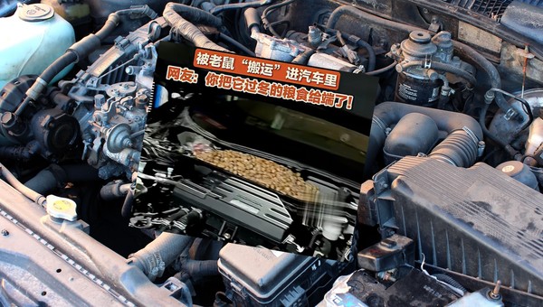 Pod maską samochodu