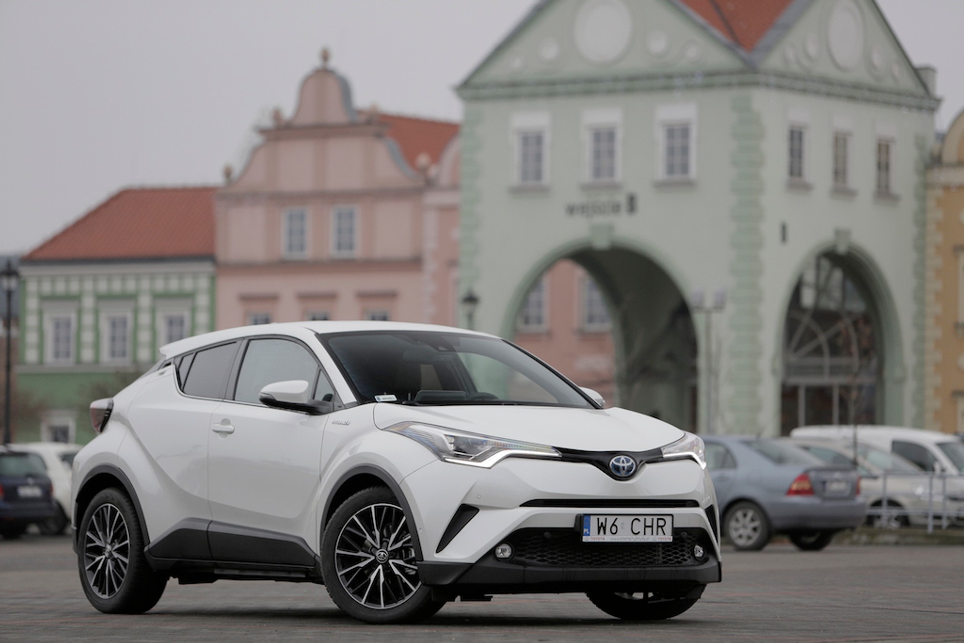 Polacy polubili hybrydy