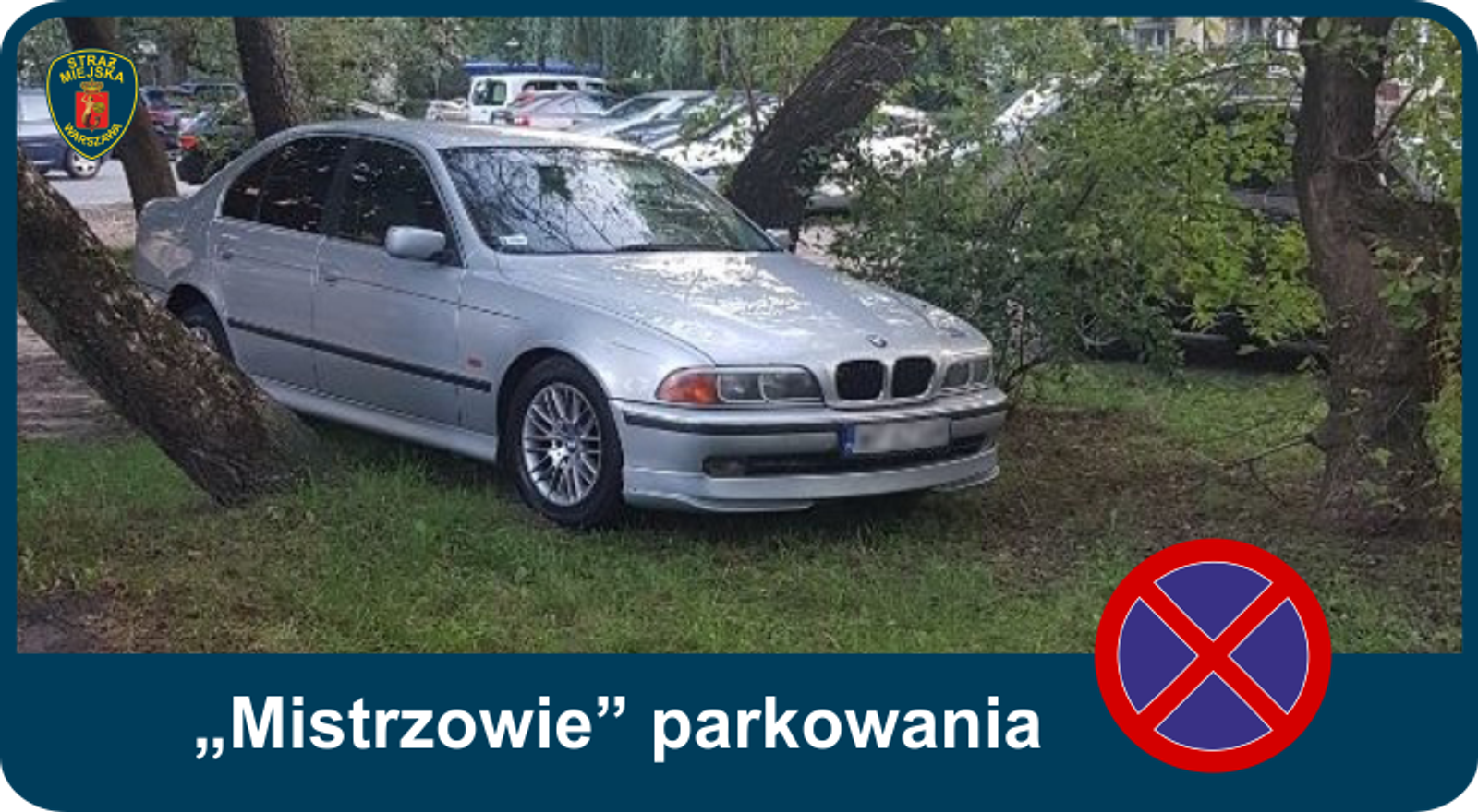 „Mistrzowie” parkowania w Warszawie