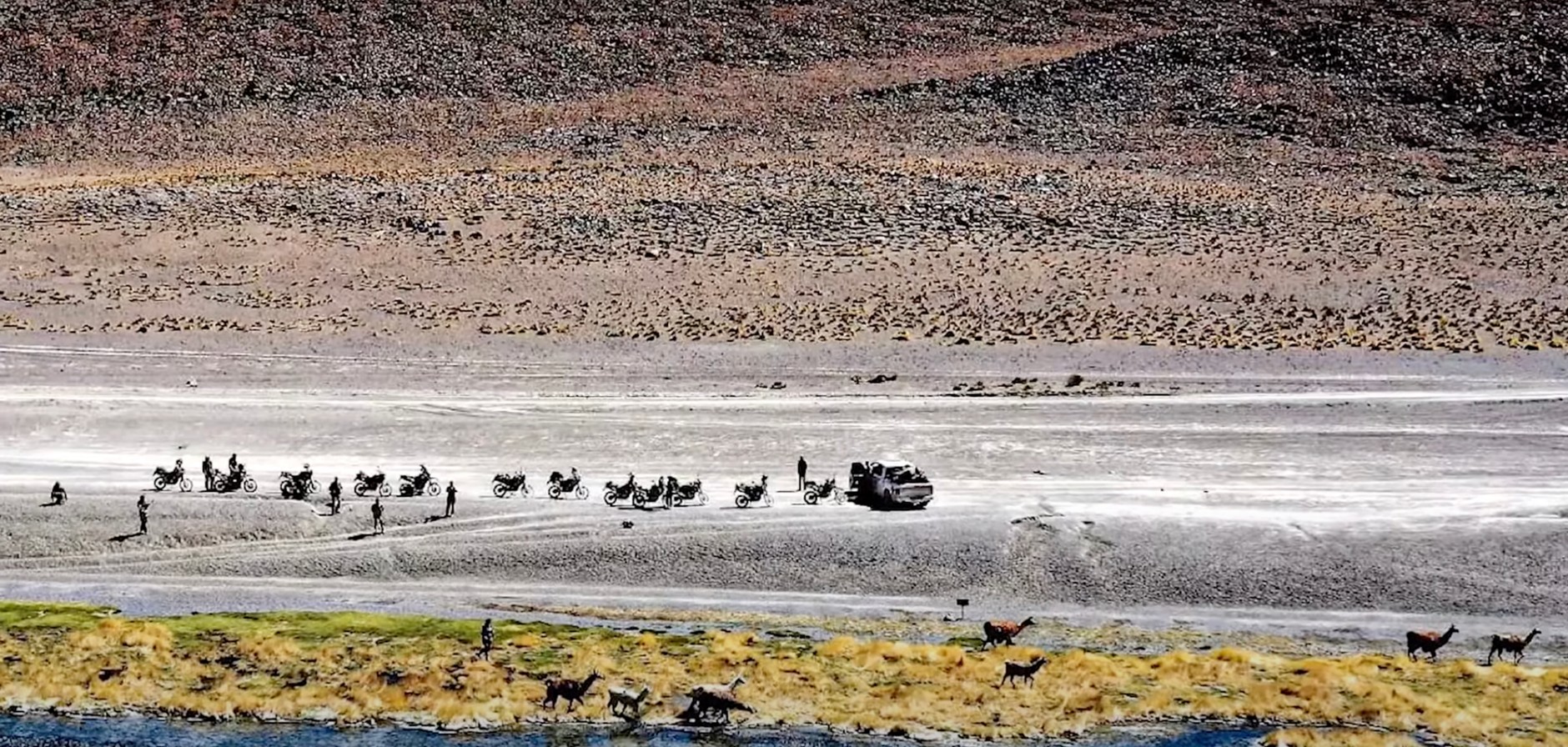 Odeta Moro i jej motoryzacyjne pasje