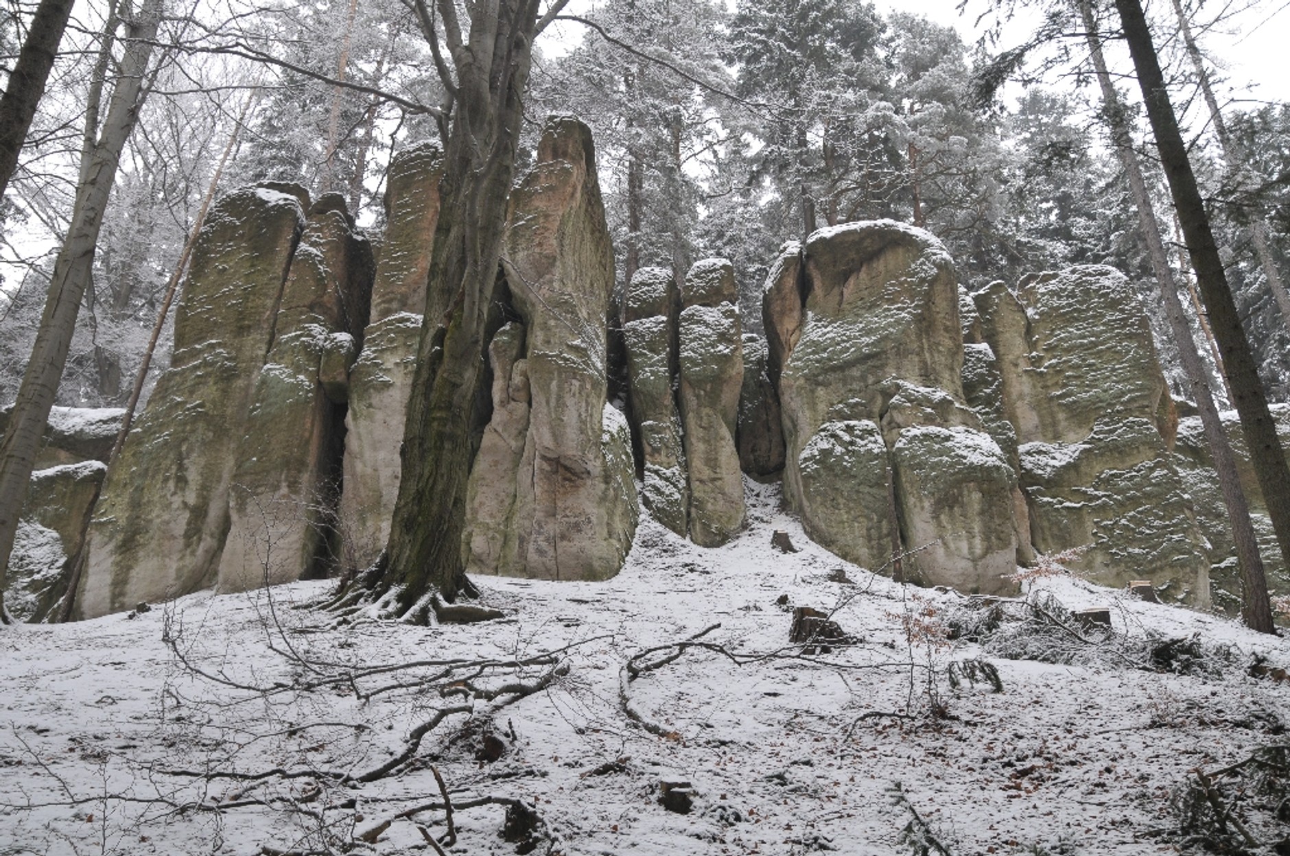 Terenowe zwiedzanie Polski