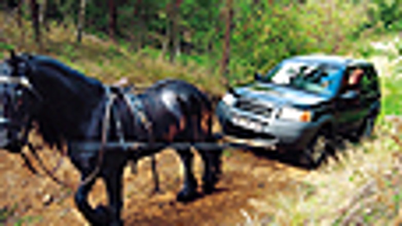 Land rover freelander - Czasem potrzebuje pomocy