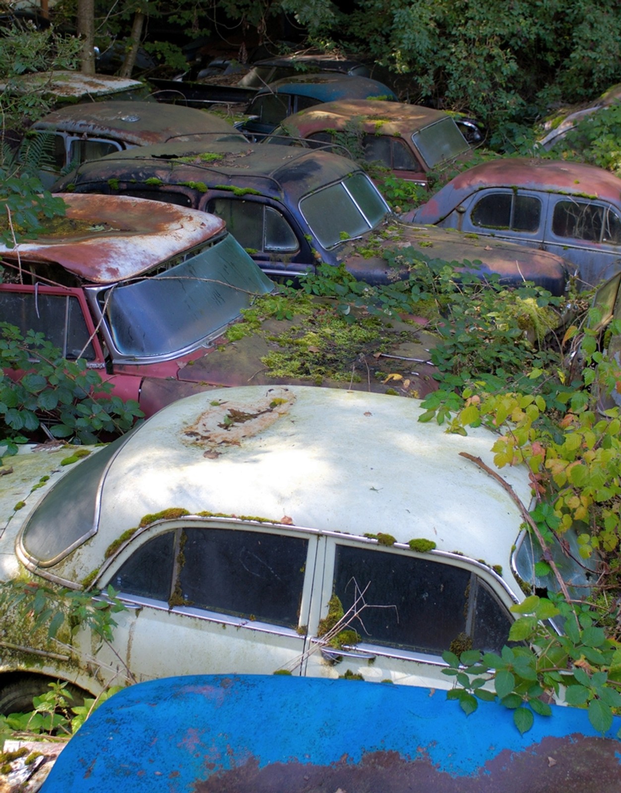 Najpiękniejsze złomowisko świata