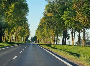 Zwycięzca przetargu wycofał się z budowy drogi S8. Jest już nowy wykonawca