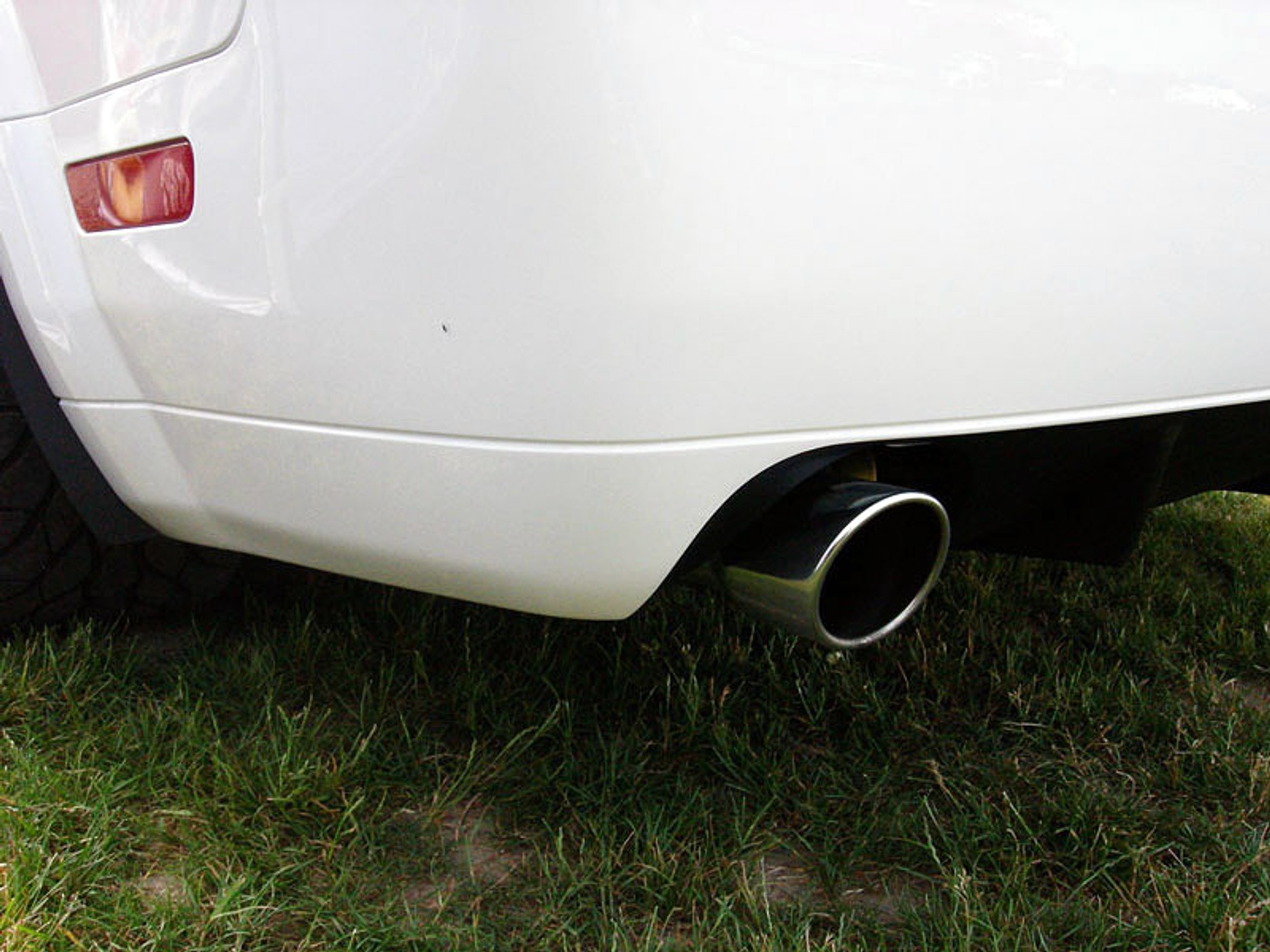 StangNet Mustang GT500: wściekła zebra