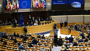 Rok temu głosowali za zakazem aut spalinowych. Sprawdziliśmy, czym sami jeżdżą