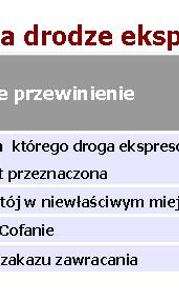 Taki mandat możesz dostać na ekspresówce