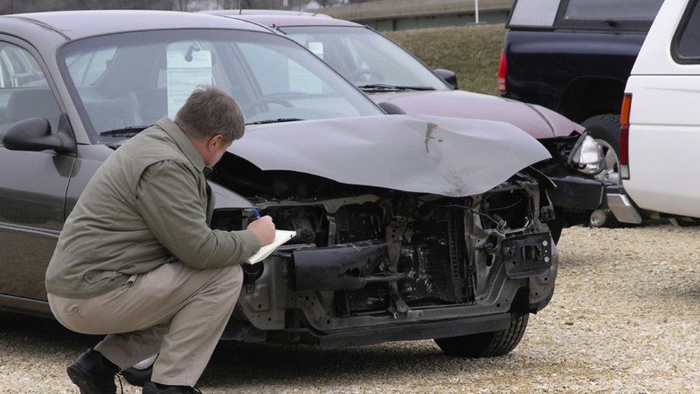 Szkody po nawałnicach: Kto zapłaci za naturę?