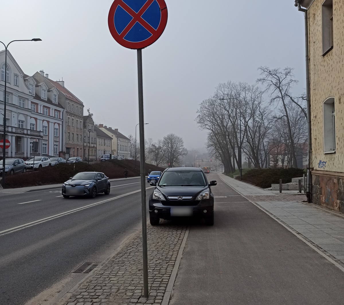 Parkowanie wydaje się proste. Jak się okazuje - nie dla wszystkich