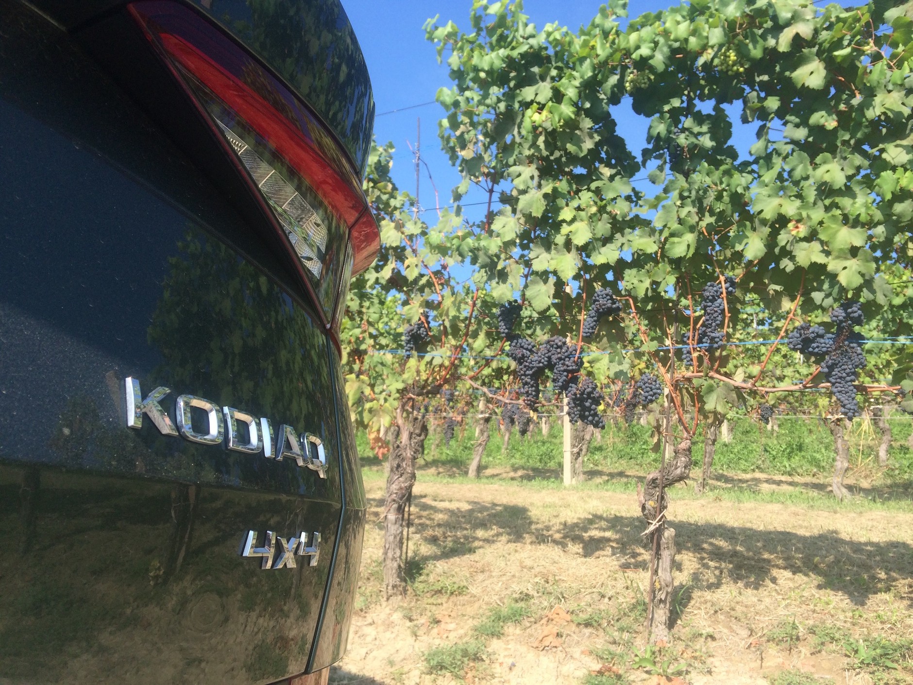 Skoda Kodiaq 2.0 TDI 4x4