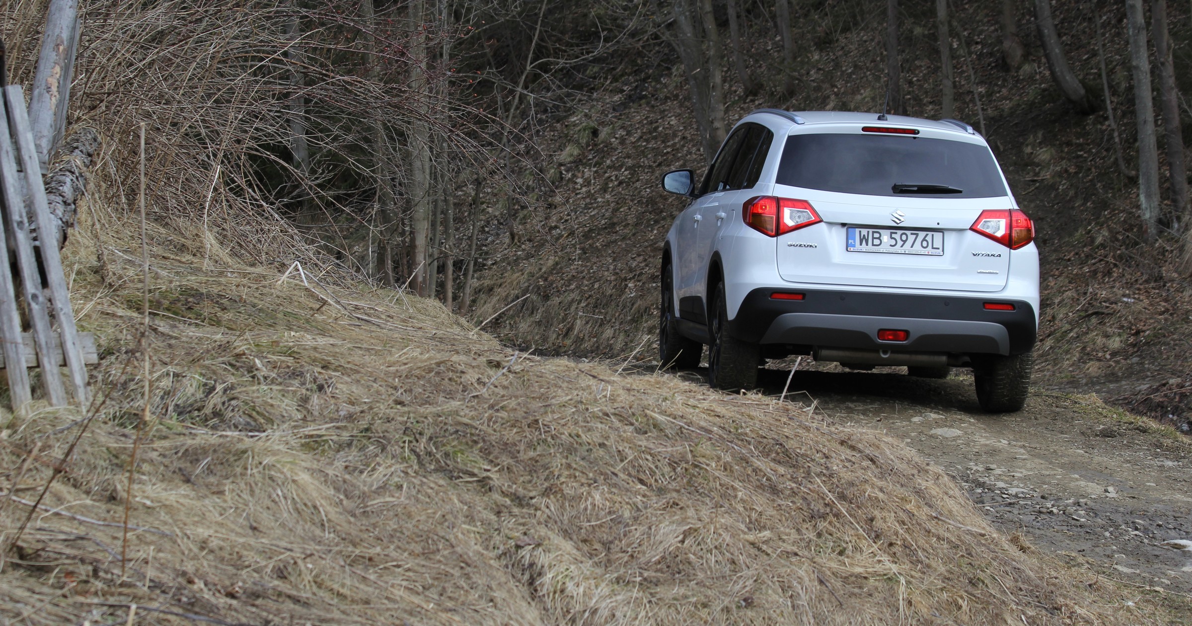 Suzuki Vitara S