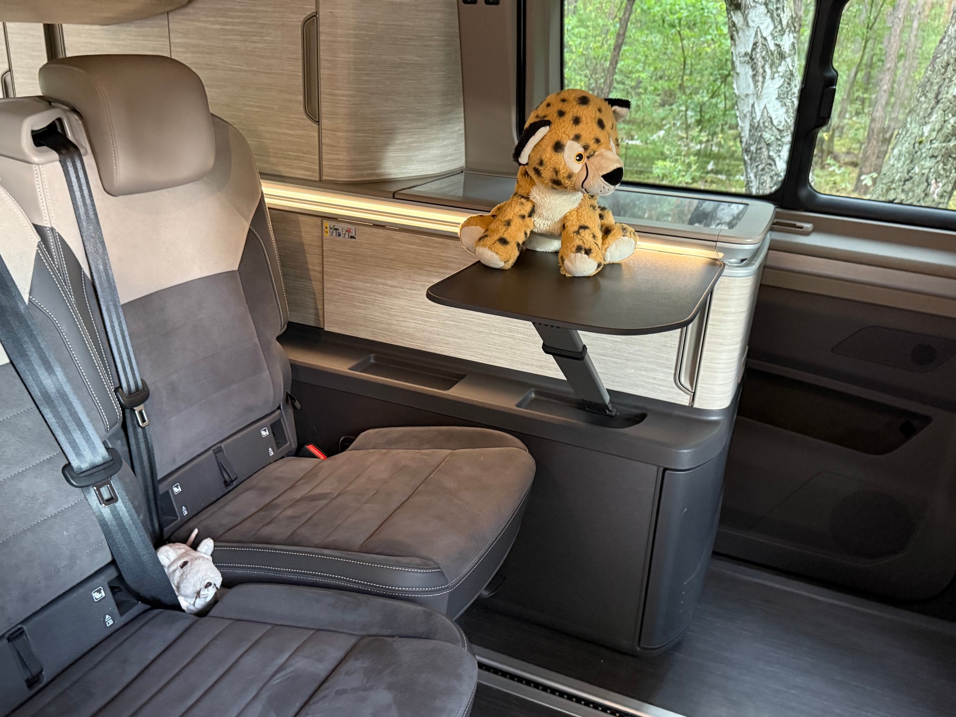 Volkswagen California Ocean 2025