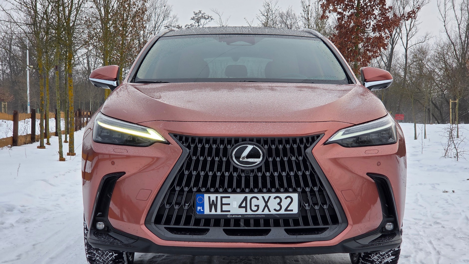 Lexus NX 450h+