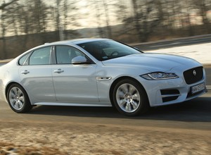 Jaguar XF 3.0 TDV6 R-Sport - Drapieżny też z dieslem