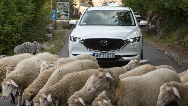 Mazdami po Czarnogórze