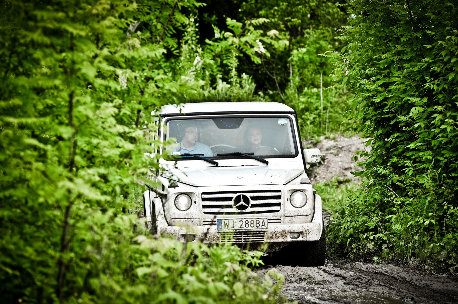 VIP CROSS 2013