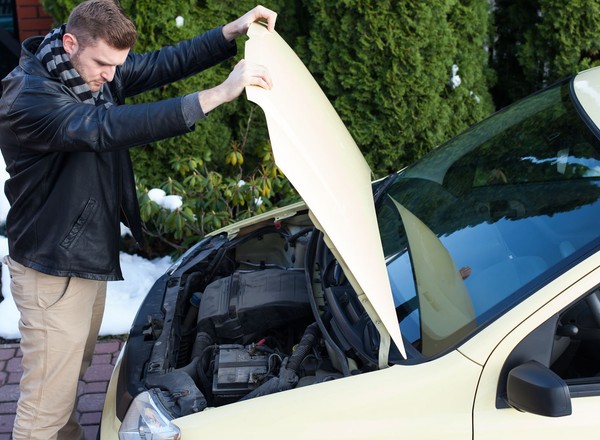 Kuny tego nienawidzą. Te dwie rzeczy z domu mogą "obronić" twój samochód