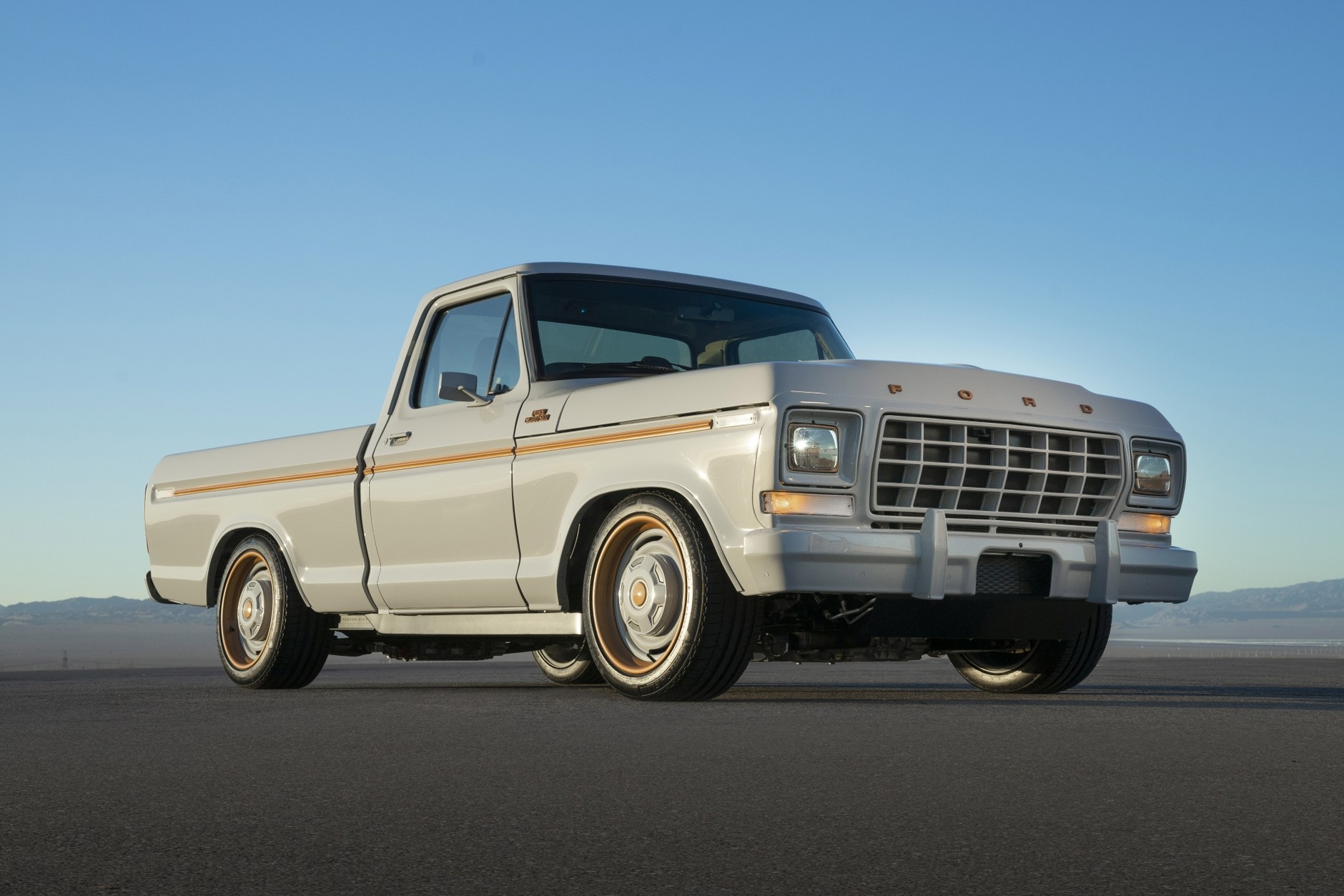 Ford F100 Eluminator