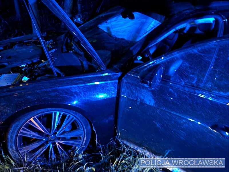 Audi przez system eCall doprowadziło do zatrzymania swojego pijanego kierowcy