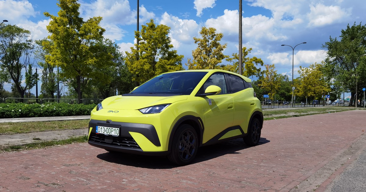 BYD może otwierać szampana — w Europie budzi większe zainteresowanie niż Tesla