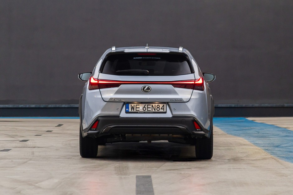 2024 Lexus UX300h