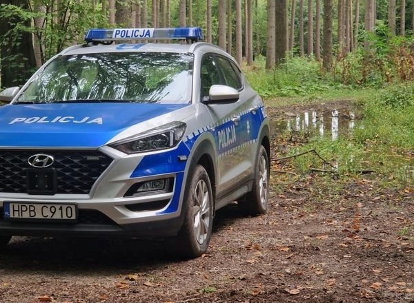 Czy można pojechać samochodem na grzyby? W lesie czekają mandaty