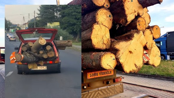 Cinquecento załadowane pniami drzew. Ten kierowca mocno przesadził!