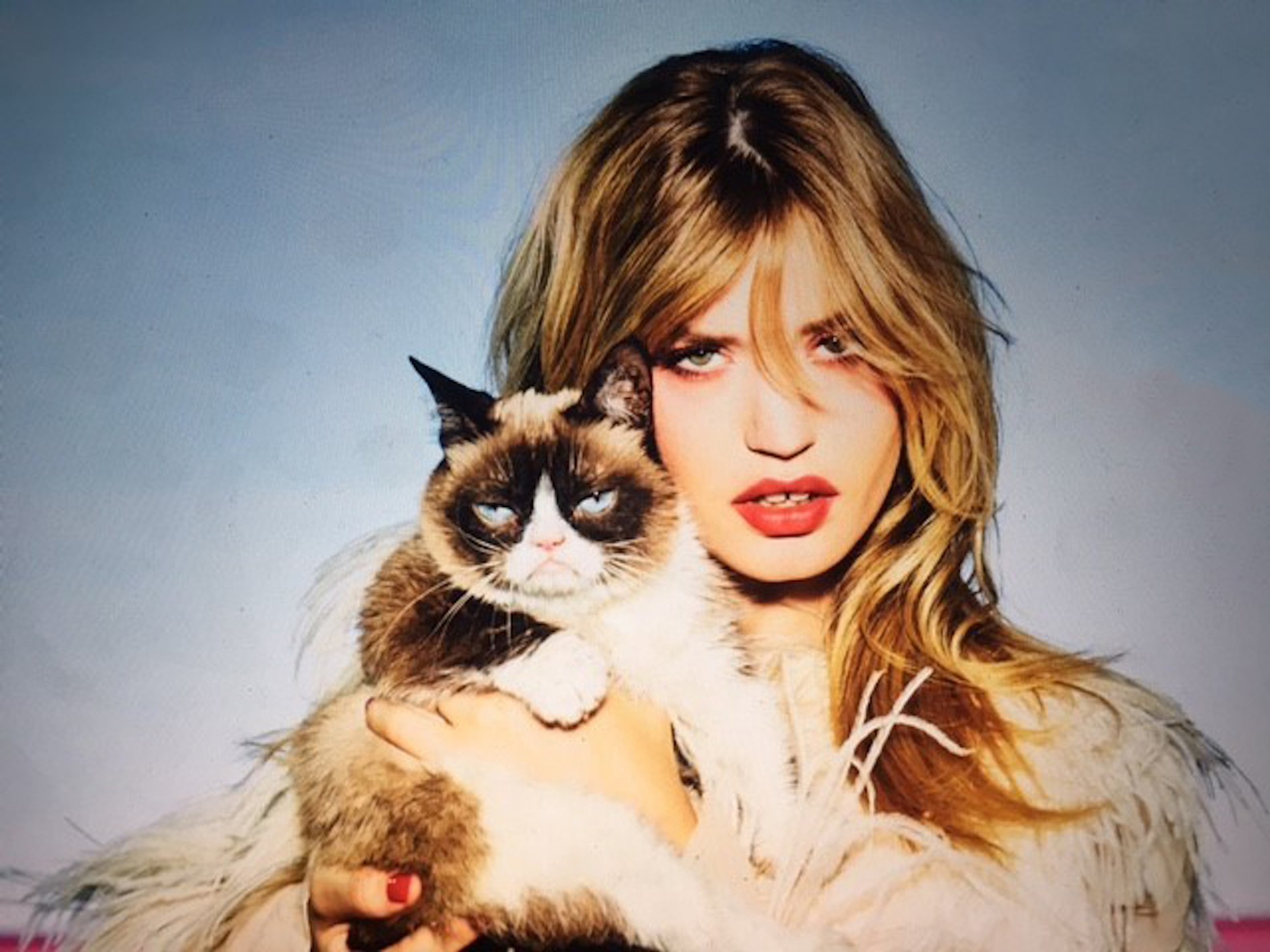 Kalendarz Opla na 2017 rok