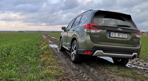 Subaru Forester 2.0i-L e-Boxer - hybrydowy bokser